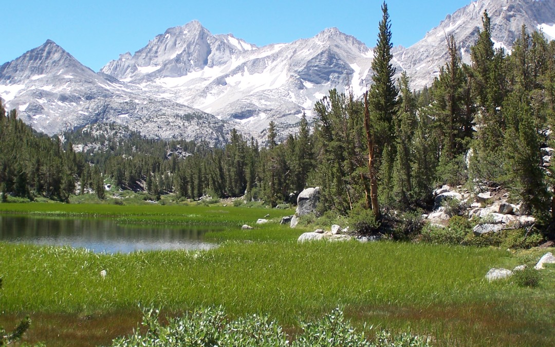 Numinous Experience: The Earth is Charged with God’s Grandeur