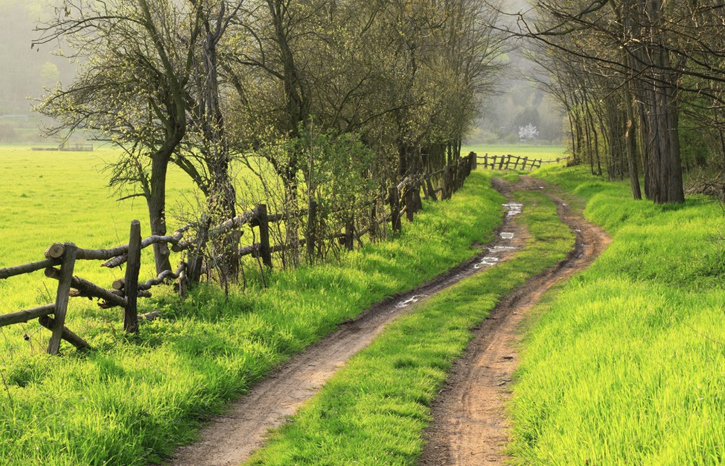 The Freedom of Interiority