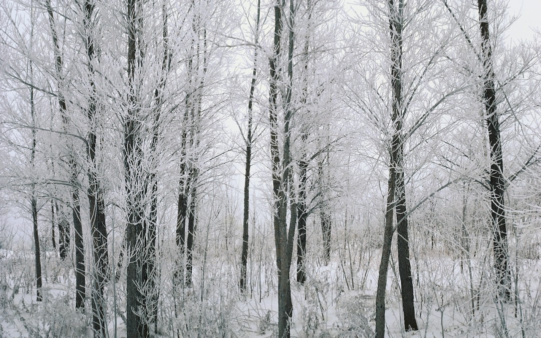 The Tenuous, Precarious Nature of Faith