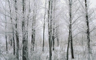 The Tenuous, Precarious Nature of Faith