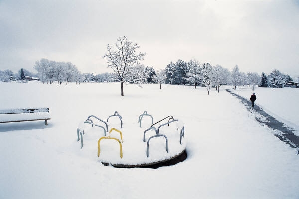 Reflections on a New Year